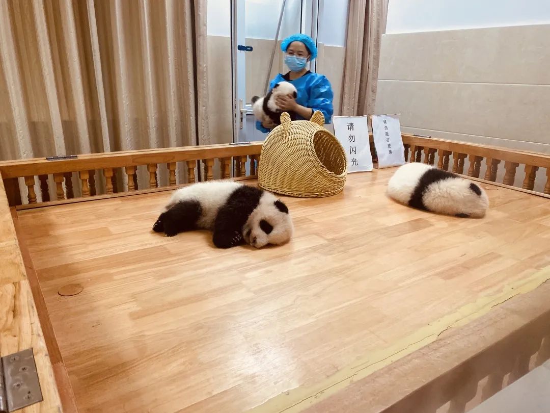 佳友物流 ,怎么样舒服怎么来! 佳友物流 ,怎么样舒服怎么来!