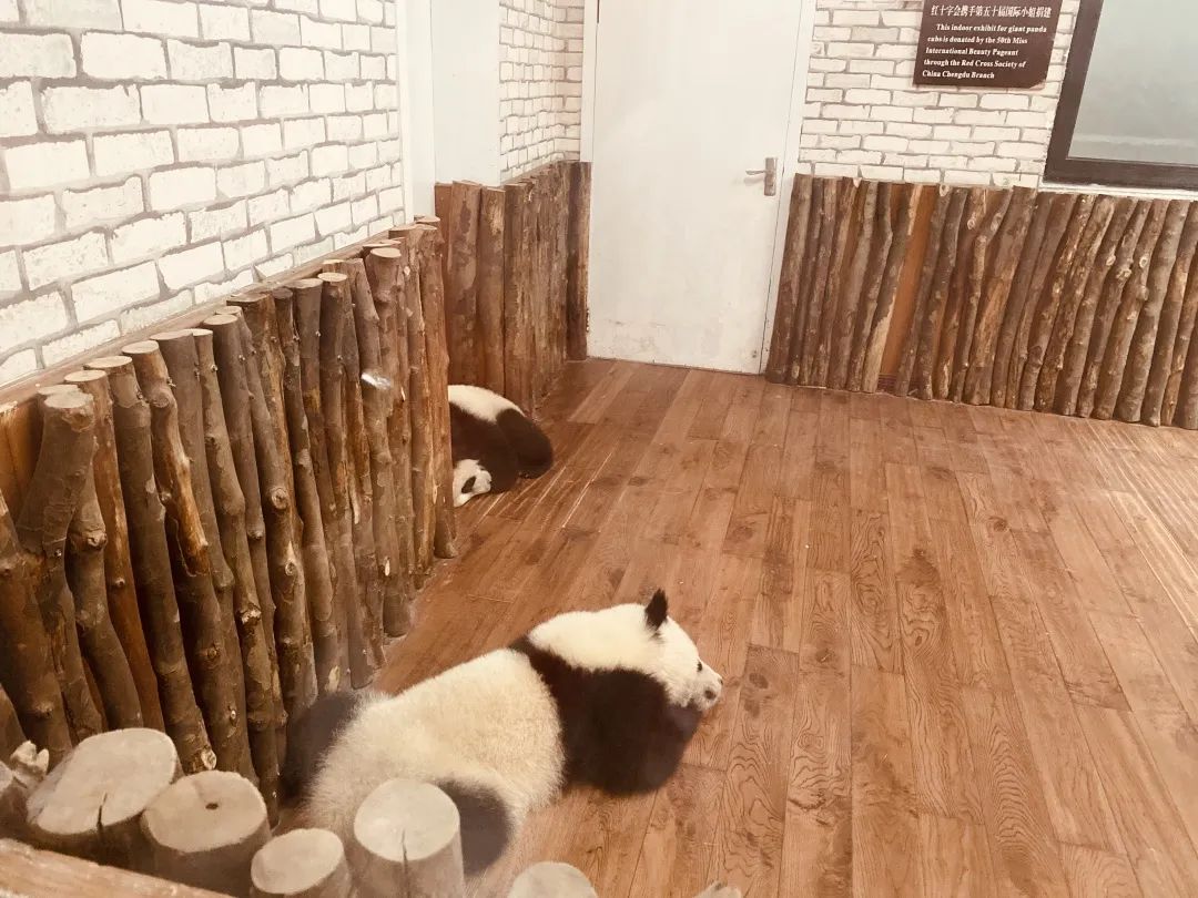 佳友物流 ,怎么样舒服怎么来! 佳友物流 ,怎么样舒服怎么来!