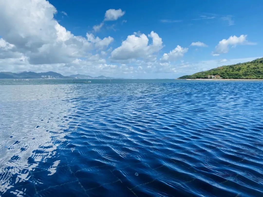 佳友物流 ,怎么样舒服怎么来! 佳友物流 ,怎么样舒服怎么来!